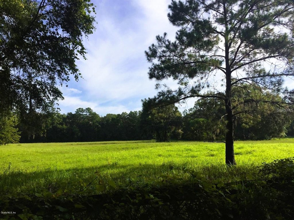 REDDICK, Florida, 32686, United States, ,Land,Forsale,1886240