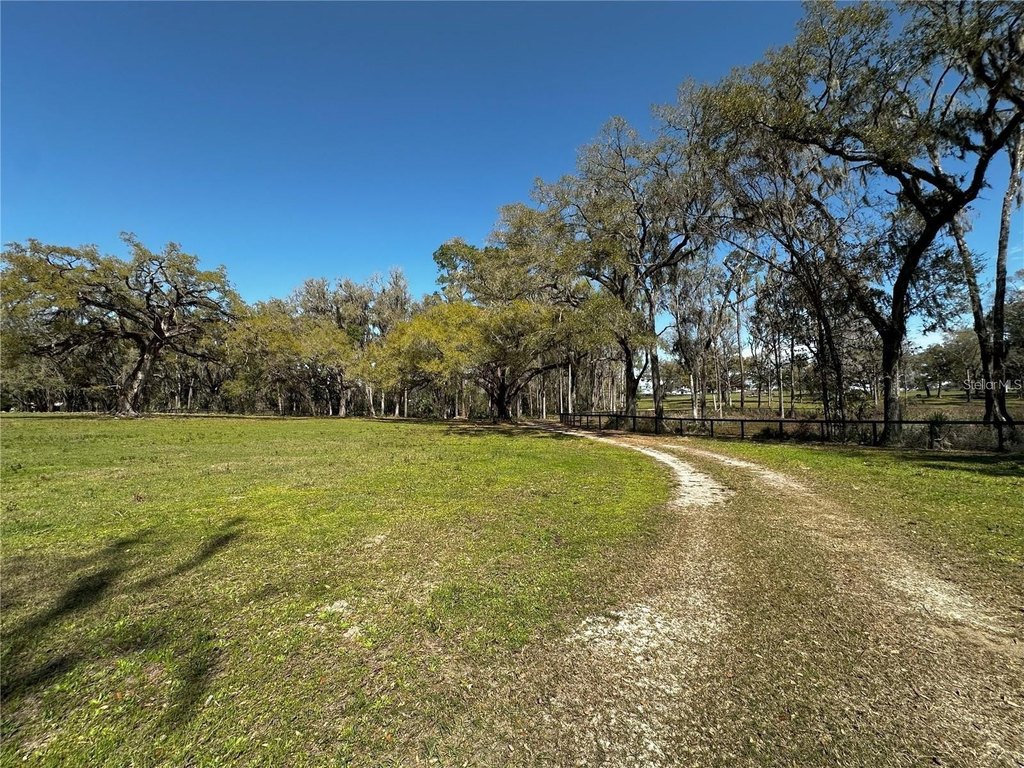 REDDICK, Florida, 32686, United States, ,Land,Forsale,1886240
