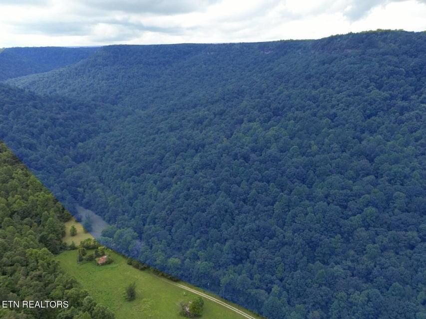 Pall Mall, Tennessee, 38577, United States, ,Land,Forsale,1929827