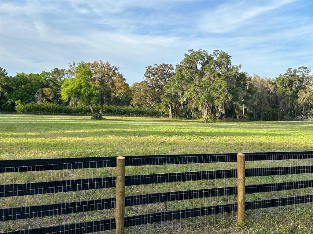 REDDICK, Florida, 32686, United States, ,Land,Forsale,1886240