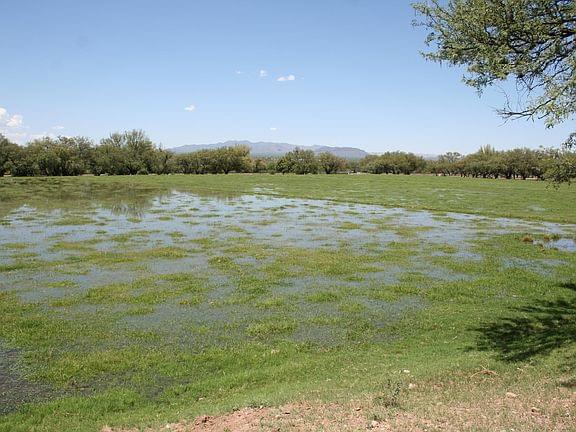 Amado, Arizona, 85640, United States, 6 Bedrooms Bedrooms, ,6.5 BathroomsBathrooms,Residential,Forsale,1893862
