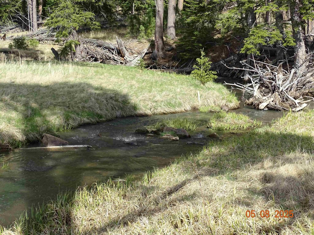 Deadwood, South Dakota, 57732, United States, ,Land,Forsale,1919009
