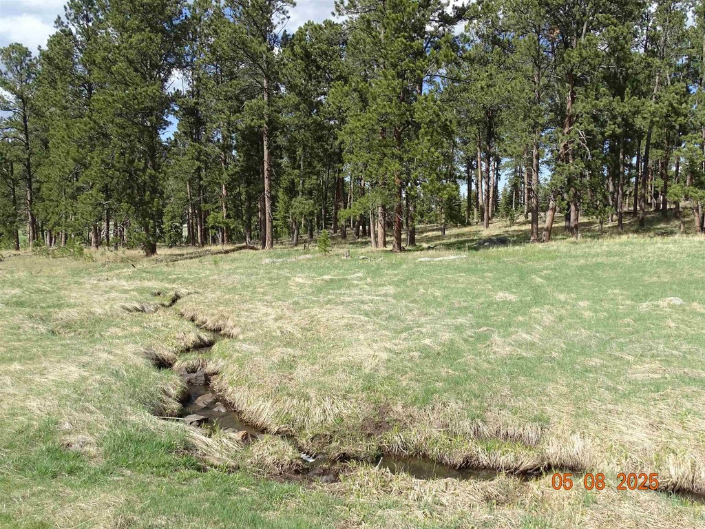 Deadwood, South Dakota, 57732, United States, ,Land,Forsale,1919009
