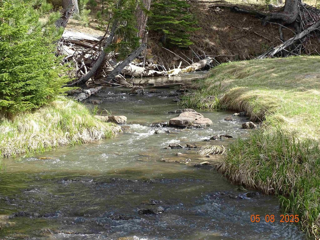 Deadwood, South Dakota, 57732, United States, ,Land,Forsale,1919009