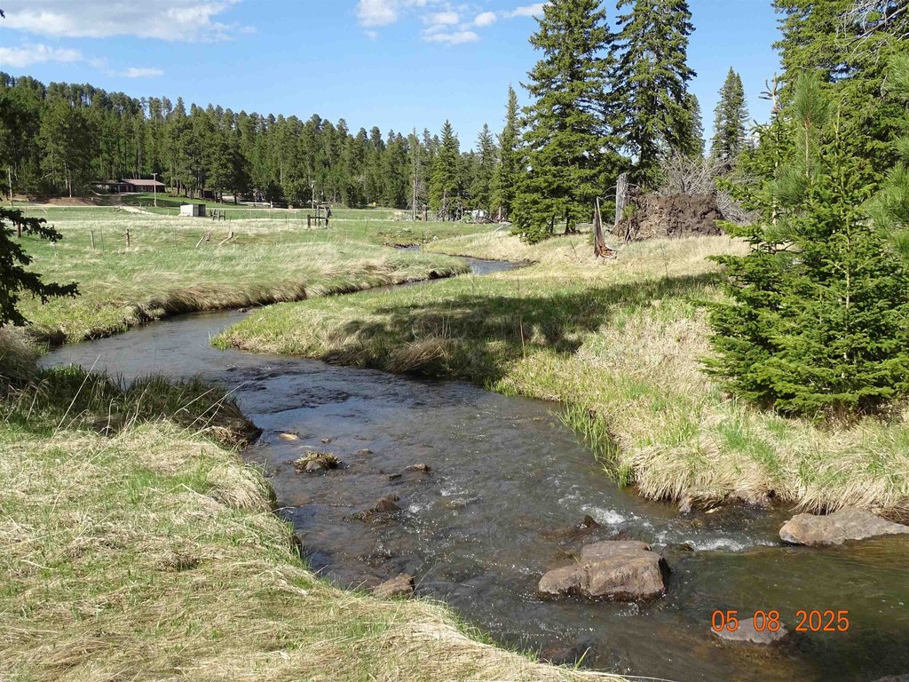 Deadwood, South Dakota, 57732, United States, ,Land,Forsale,1919009