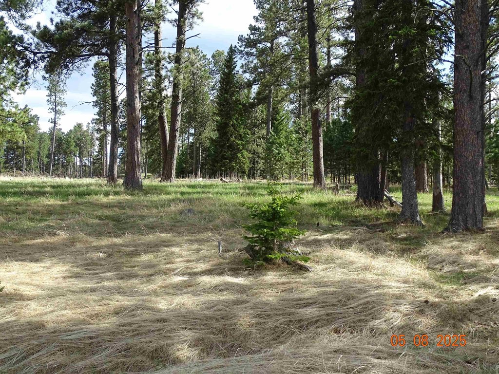 Deadwood, South Dakota, 57732, United States, ,Land,Forsale,1919009