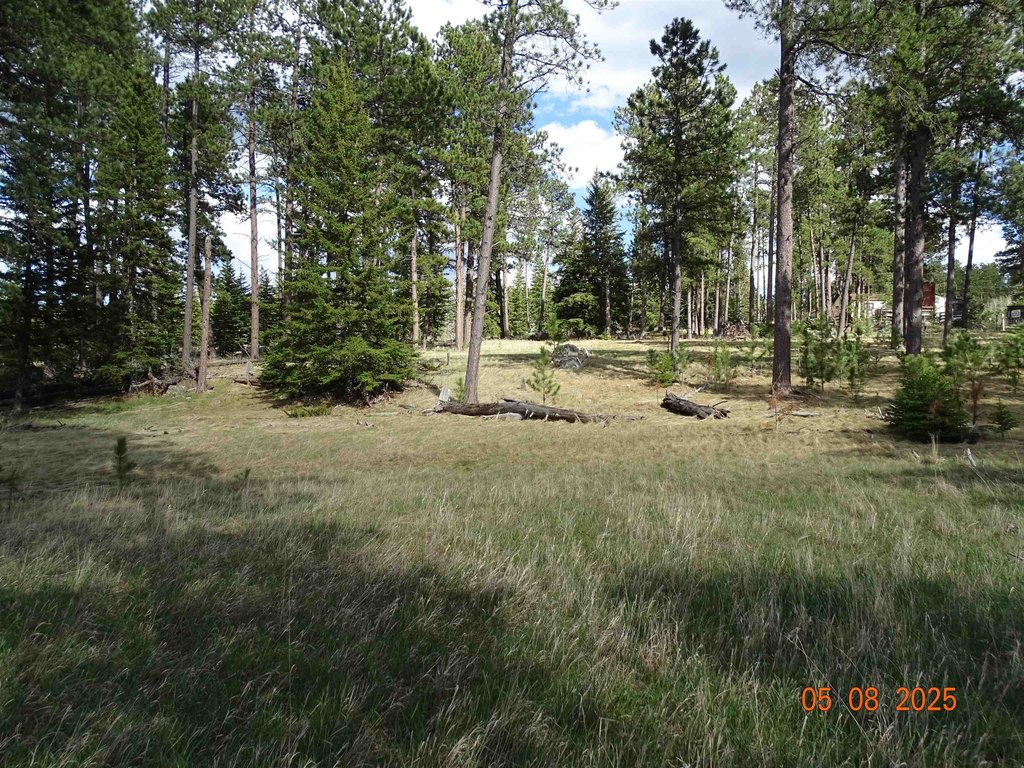 Deadwood, South Dakota, 57732, United States, ,Land,Forsale,1919009