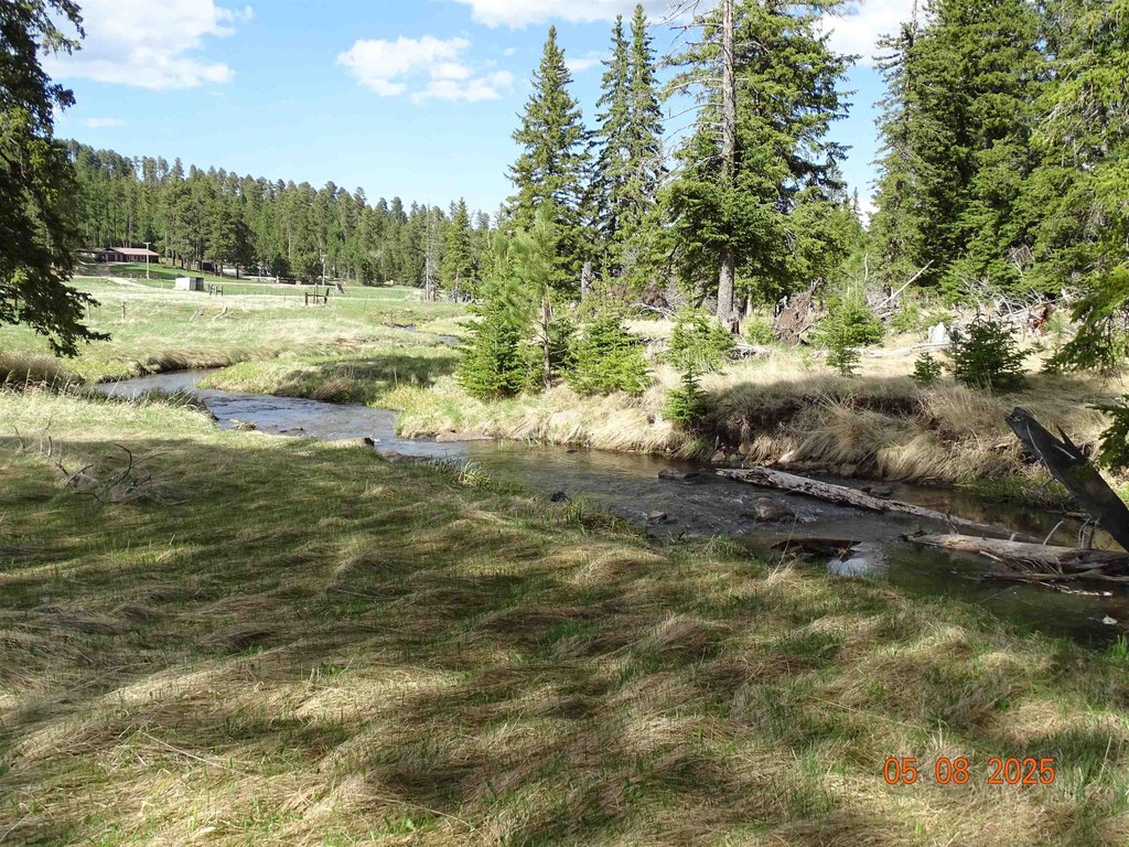 Deadwood, South Dakota, 57732, United States, ,Land,Forsale,1919009