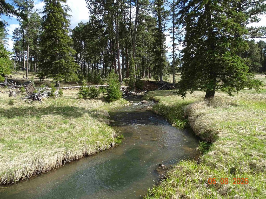 Deadwood, South Dakota, 57732, United States, ,Land,Forsale,1919009
