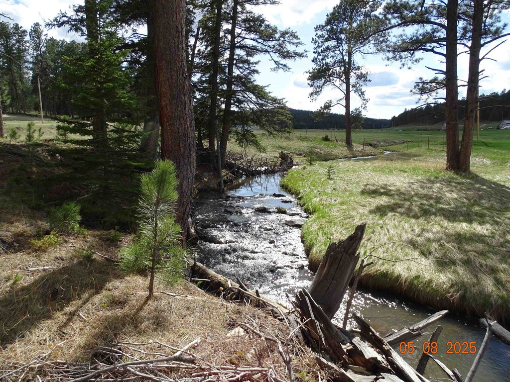 Deadwood, South Dakota, 57732, United States, ,Land,Forsale,1919009