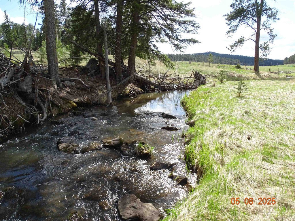 Deadwood, South Dakota, 57732, United States, ,Land,Forsale,1919009