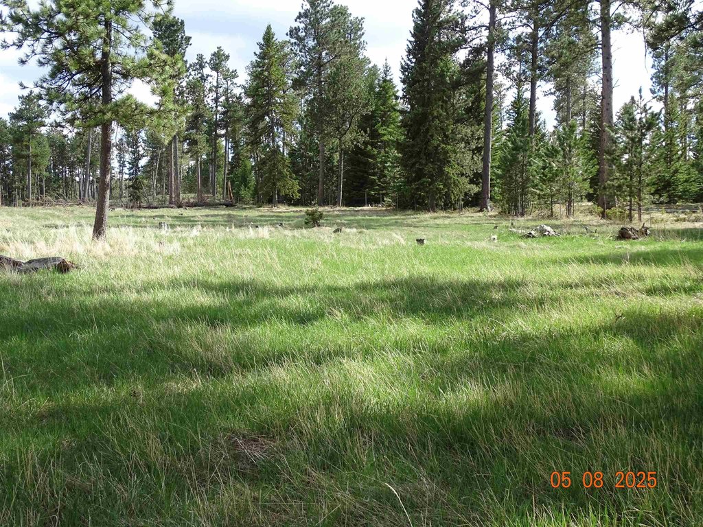Deadwood, South Dakota, 57732, United States, ,Land,Forsale,1919009