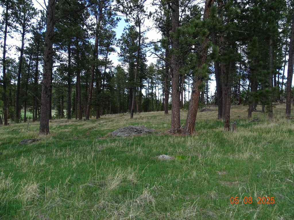 Deadwood, South Dakota, 57732, United States, ,Land,Forsale,1919009
