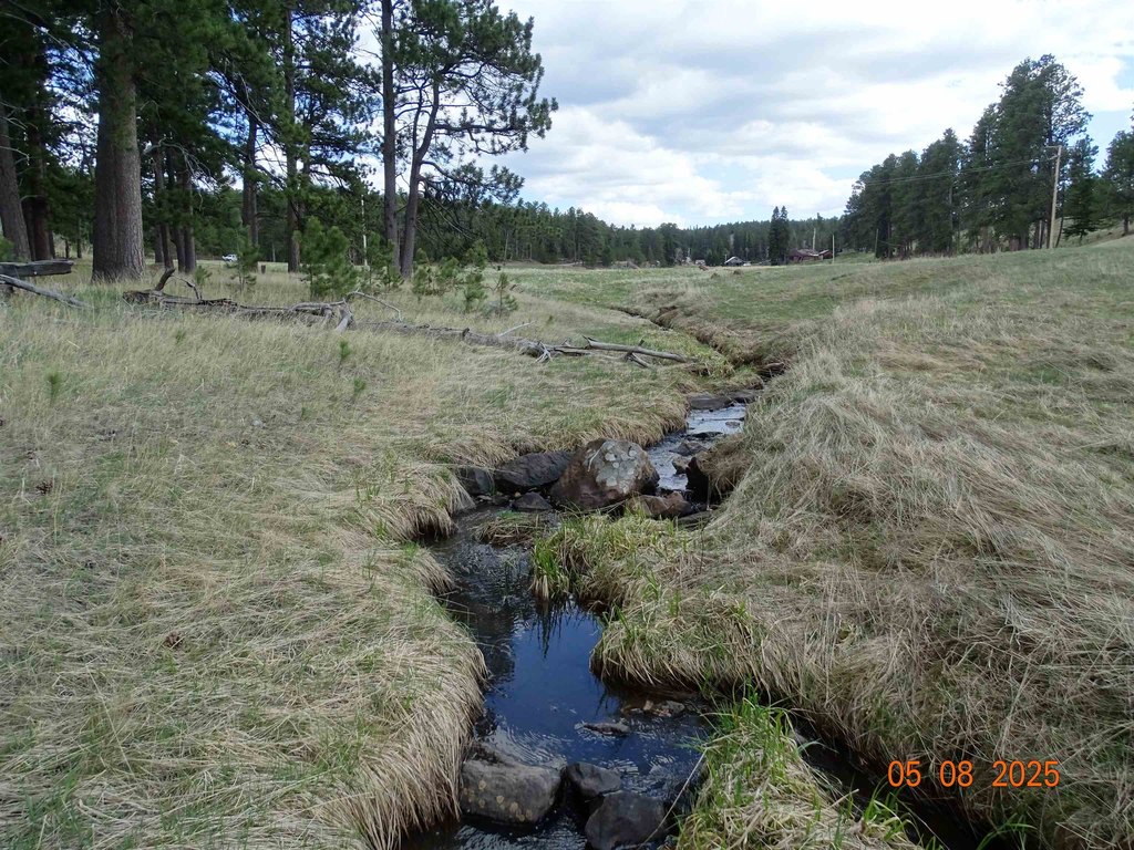 Deadwood, South Dakota, 57732, United States, ,Land,Forsale,1919009