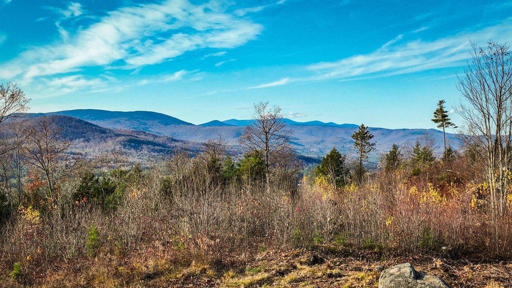 Campton, New Hampshire, 03223, United States, ,Land,Forsale,1909932