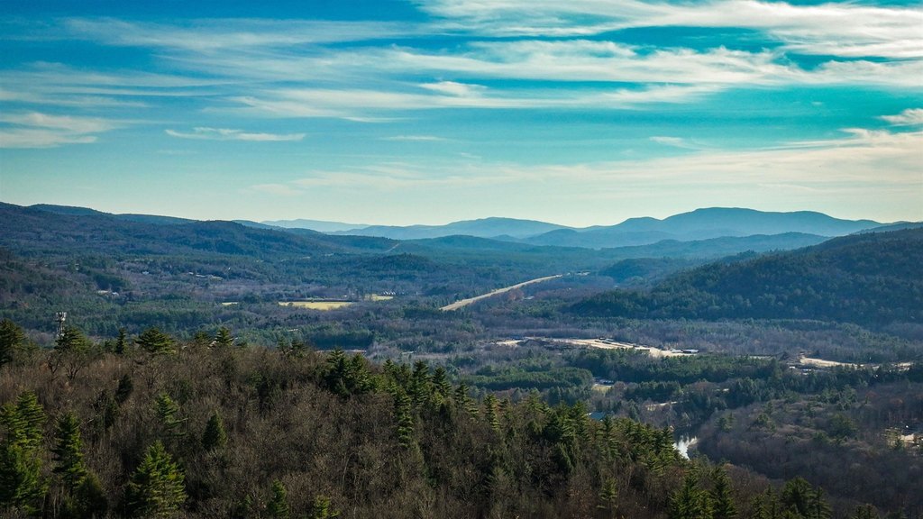 Campton, New Hampshire, 03223, United States, ,Land,Forsale,1909932