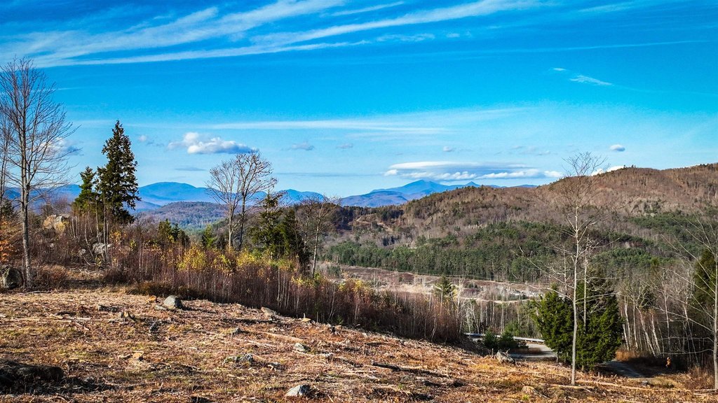 Campton, New Hampshire, 03223, United States, ,Land,Forsale,1909932