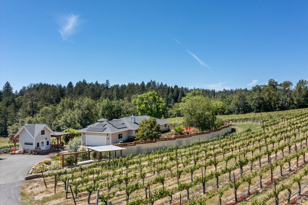 Sebastopol, California, 95472, United States, 3 Bedrooms Bedrooms, ,3 BathroomsBathrooms,Residential,Forsale,1918894