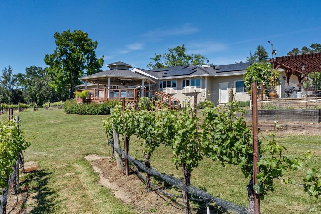 Sebastopol, California, 95472, United States, 3 Bedrooms Bedrooms, ,3 BathroomsBathrooms,Residential,Forsale,1918894