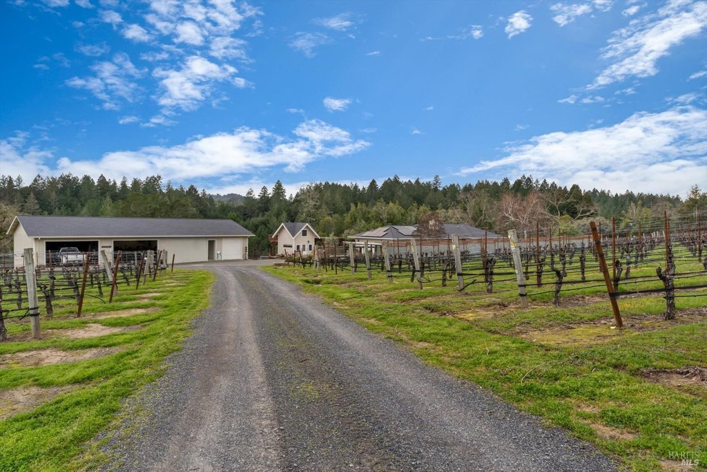 Sebastopol, California, 95472, United States, 3 Bedrooms Bedrooms, ,3 BathroomsBathrooms,Residential,Forsale,1918894