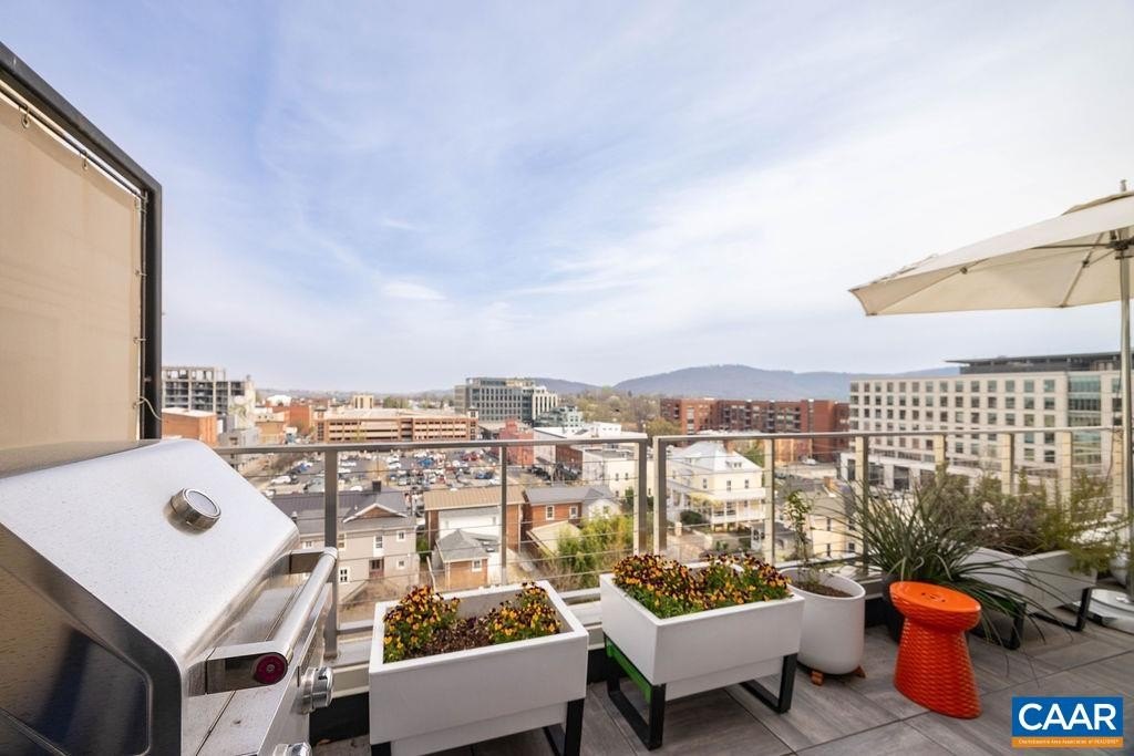 CHARLOTTESVILLE, Virginia, 22902, United States, 2 Bedrooms Bedrooms, ,2.5 BathroomsBathrooms,Residential,Forsale,1944495