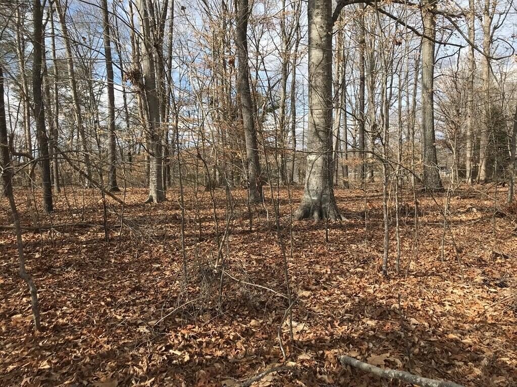 Baneberry, Tennessee, 37890, United States, ,Land,Forsale,1944346