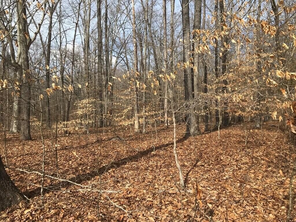 Baneberry, Tennessee, 37890, United States, ,Land,Forsale,1944346