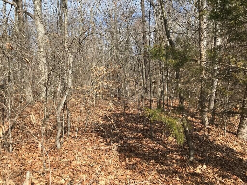 Baneberry, Tennessee, 37890, United States, ,Land,Forsale,1944346