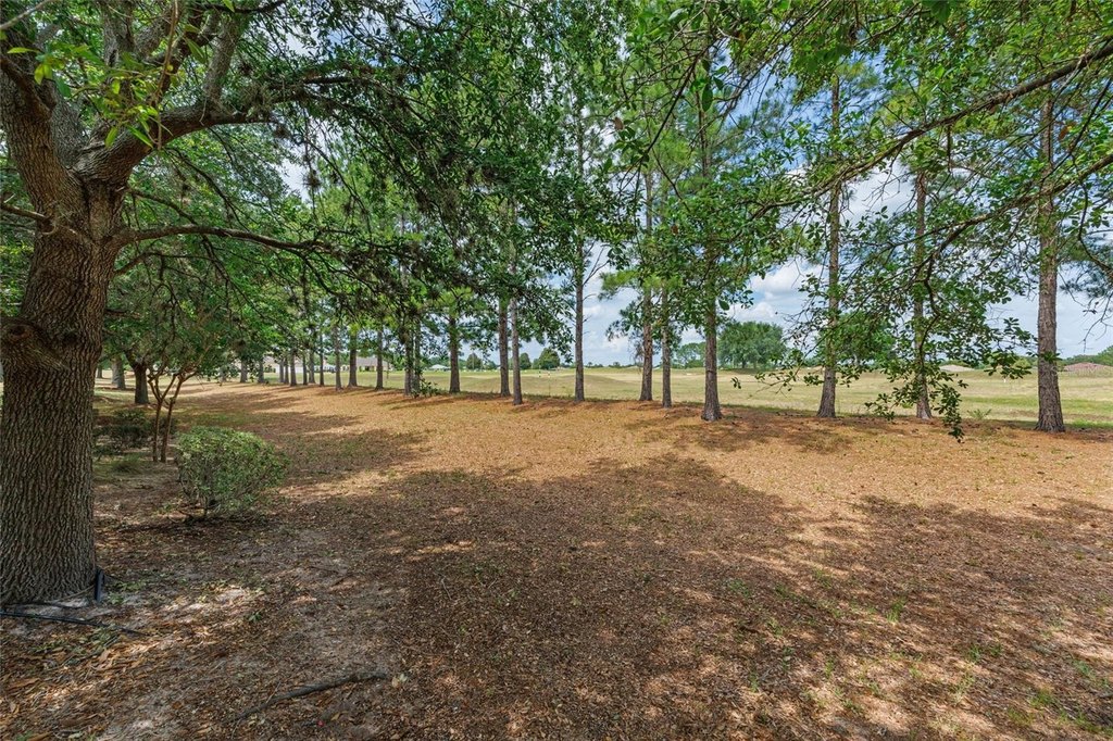 OCALA, Florida, 34473, United States, 4 Bedrooms Bedrooms, ,3 BathroomsBathrooms,Residential,Forsale,1884200