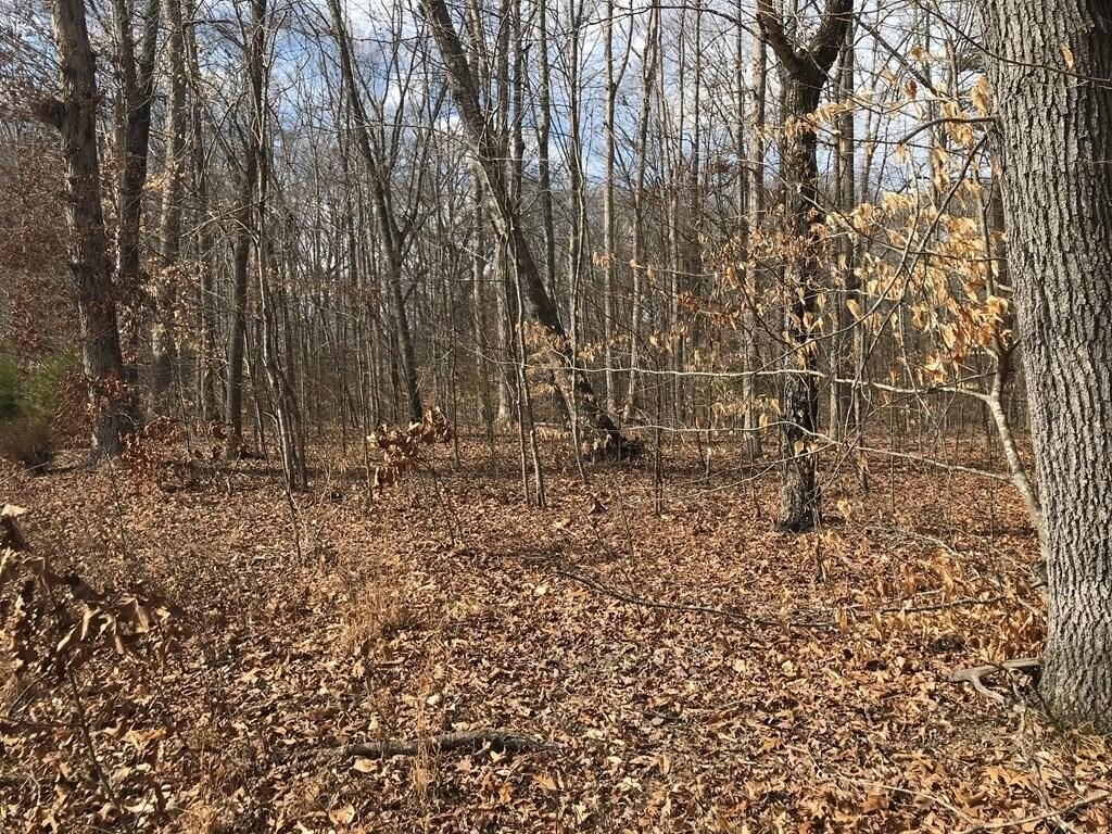 Baneberry, Tennessee, 37890, United States, ,Land,Forsale,1944346