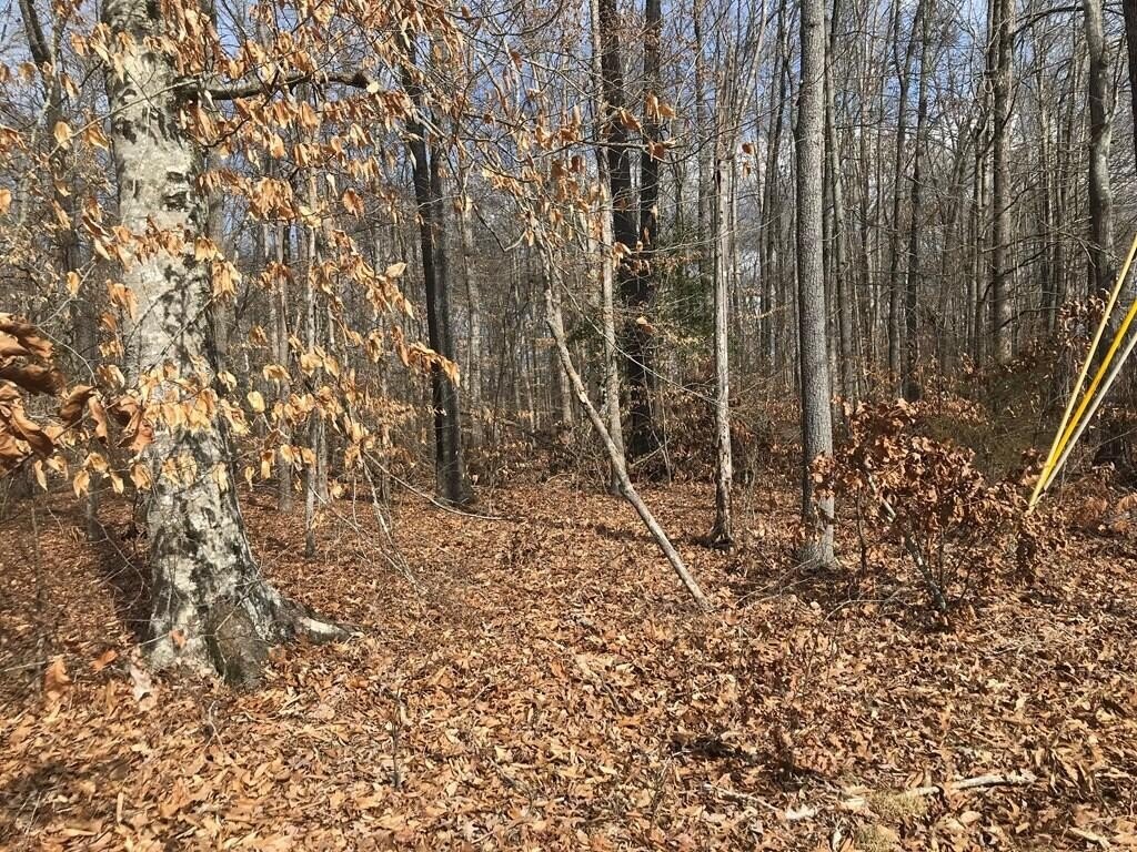 Baneberry, Tennessee, 37890, United States, ,Land,Forsale,1944346