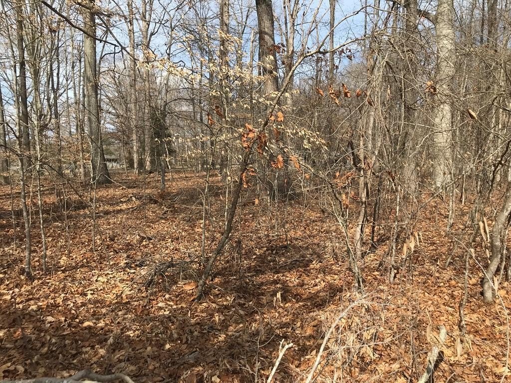 Baneberry, Tennessee, 37890, United States, ,Land,Forsale,1944346