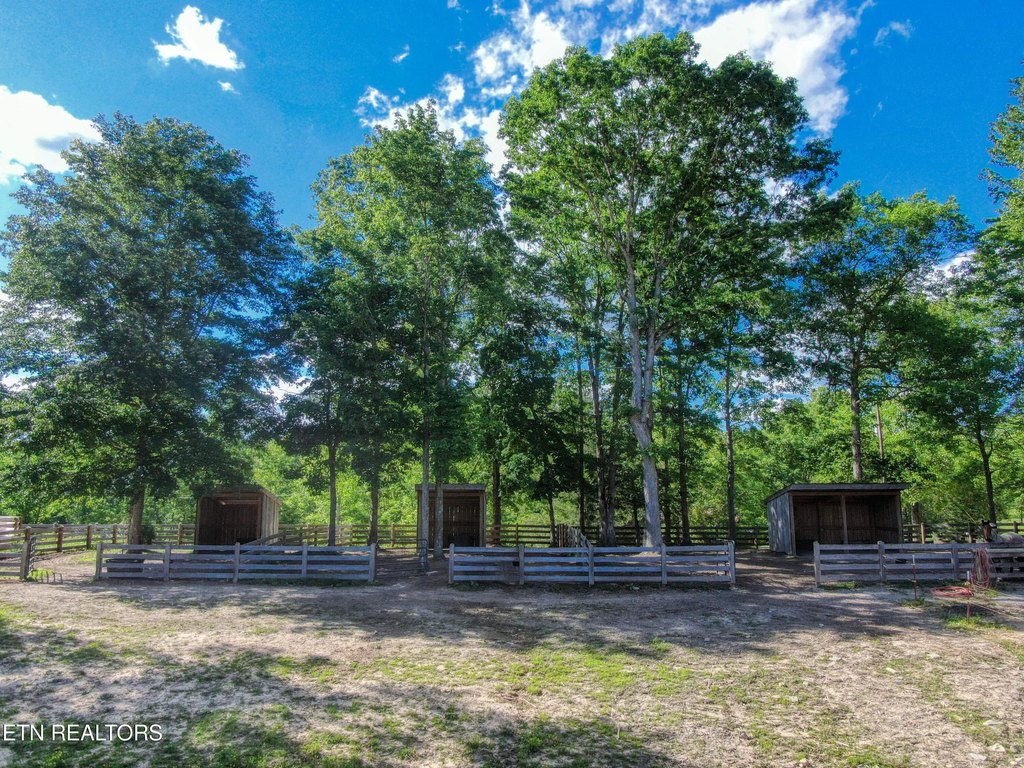 Jamestown, Tennessee, 38556, United States, 4 Bedrooms Bedrooms, ,2 BathroomsBathrooms,Residential,Forsale,1905425