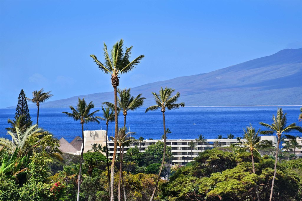 Lahaina, Hawaii, 96761, United States, 2 Bedrooms Bedrooms, ,2 BathroomsBathrooms,Residential,Forsale,2004552