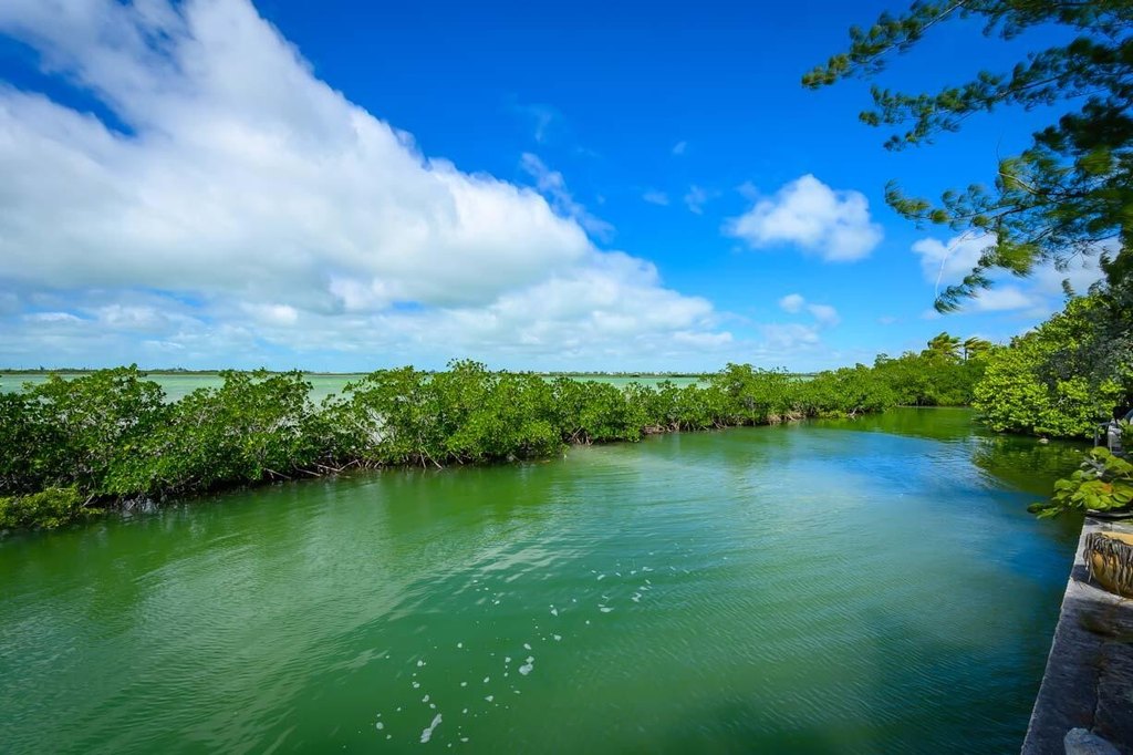 Geiger Key, Florida, 33040, United States, 4 Bedrooms Bedrooms, ,2 BathroomsBathrooms,Residential,Forsale,1968273