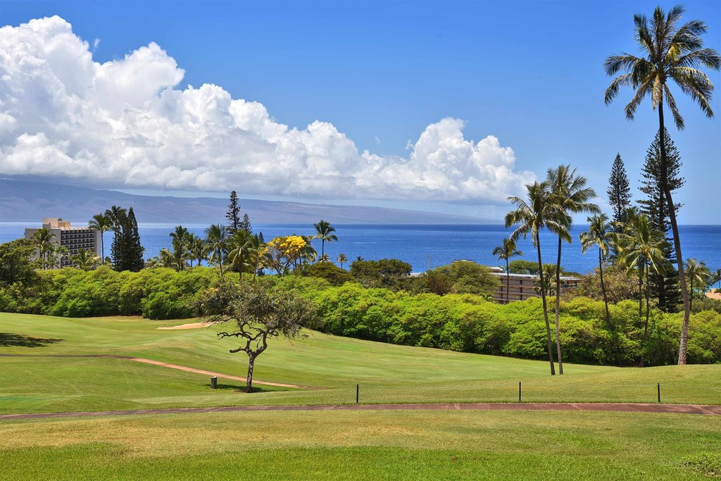 Lahaina, Hawaii, 96761, United States, 2 Bedrooms Bedrooms, ,2 BathroomsBathrooms,Residential,Forsale,2004552