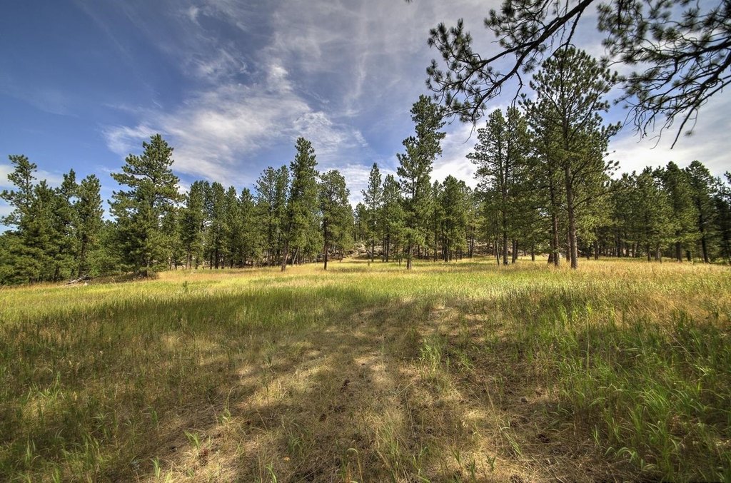 Custer, South Dakota, 57730, United States, ,Land,Forsale,1959663
