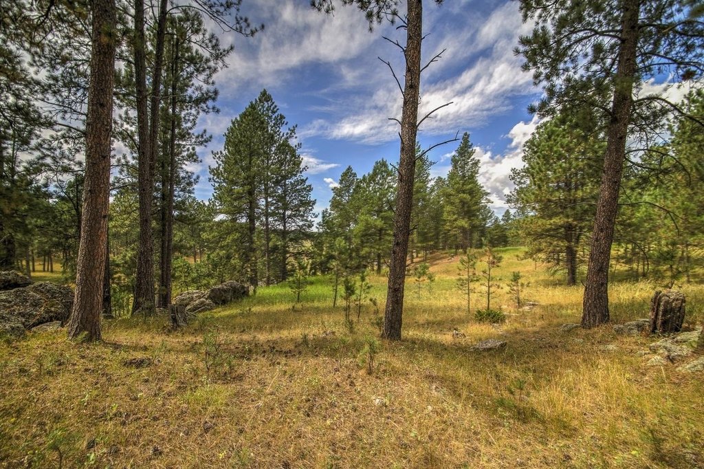 Custer, South Dakota, 57730, United States, ,Land,Forsale,1959663