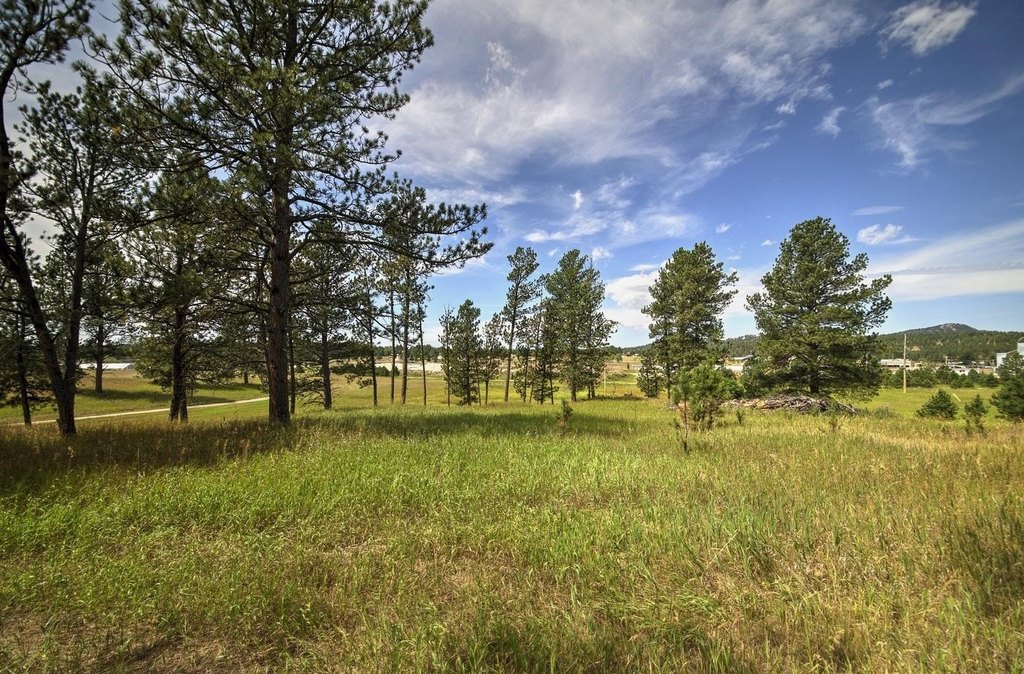 Custer, South Dakota, 57730, United States, ,Land,Forsale,1959663