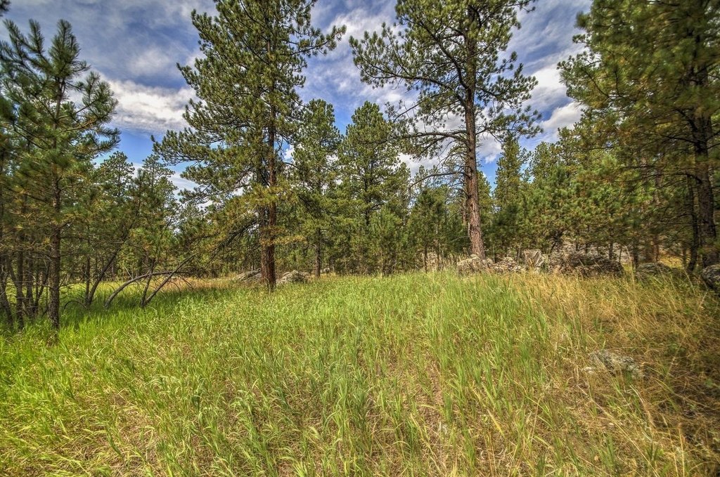 Custer, South Dakota, 57730, United States, ,Land,Forsale,1959663