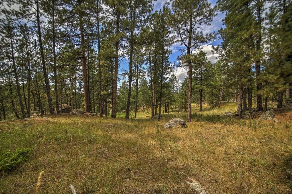Custer, South Dakota, 57730, United States, ,Land,Forsale,1959663