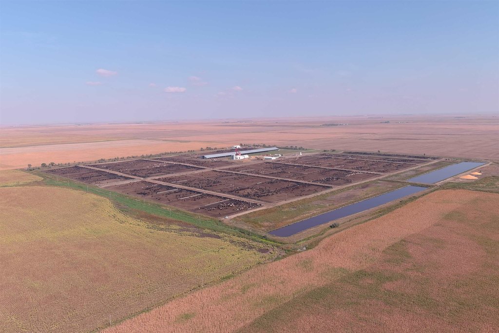 Onida, South Dakota, 57564, United States, ,Residential,Forsale,2011094