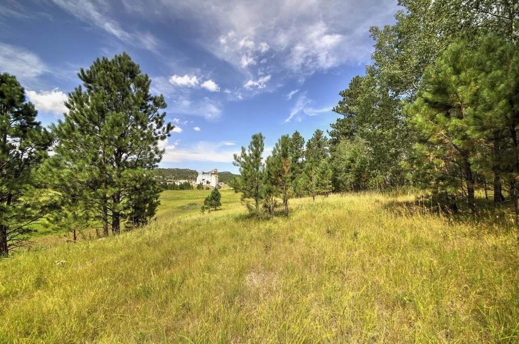 Custer, South Dakota, 57730, United States, ,Land,Forsale,1959663