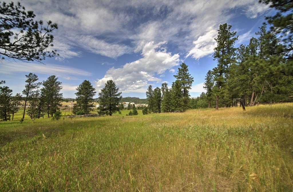 Custer, South Dakota, 57730, United States, ,Land,Forsale,1959663