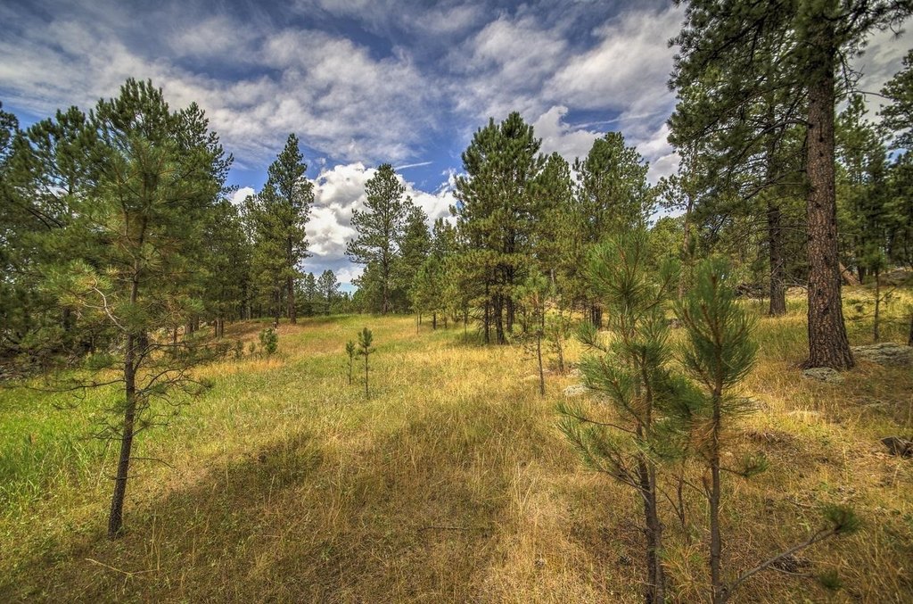 Custer, South Dakota, 57730, United States, ,Land,Forsale,1959663