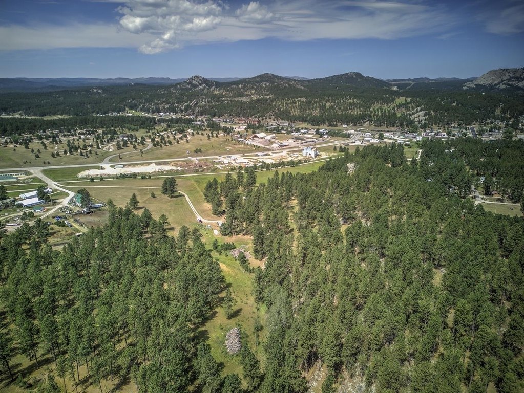 Custer, South Dakota, 57730, United States, ,Land,Forsale,1959663