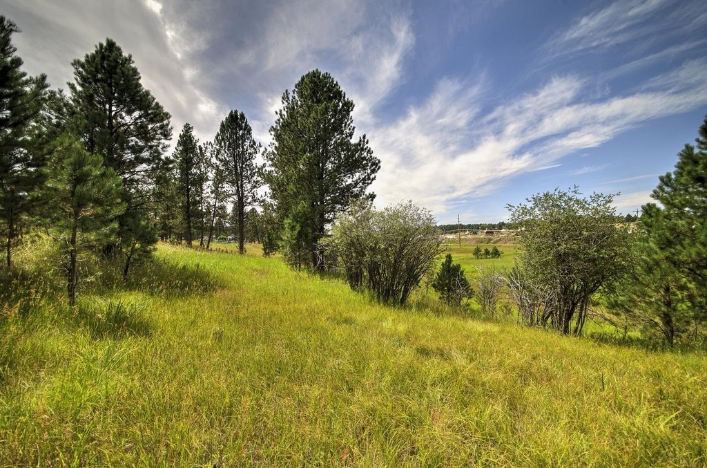 Custer, South Dakota, 57730, United States, ,Land,Forsale,1959663