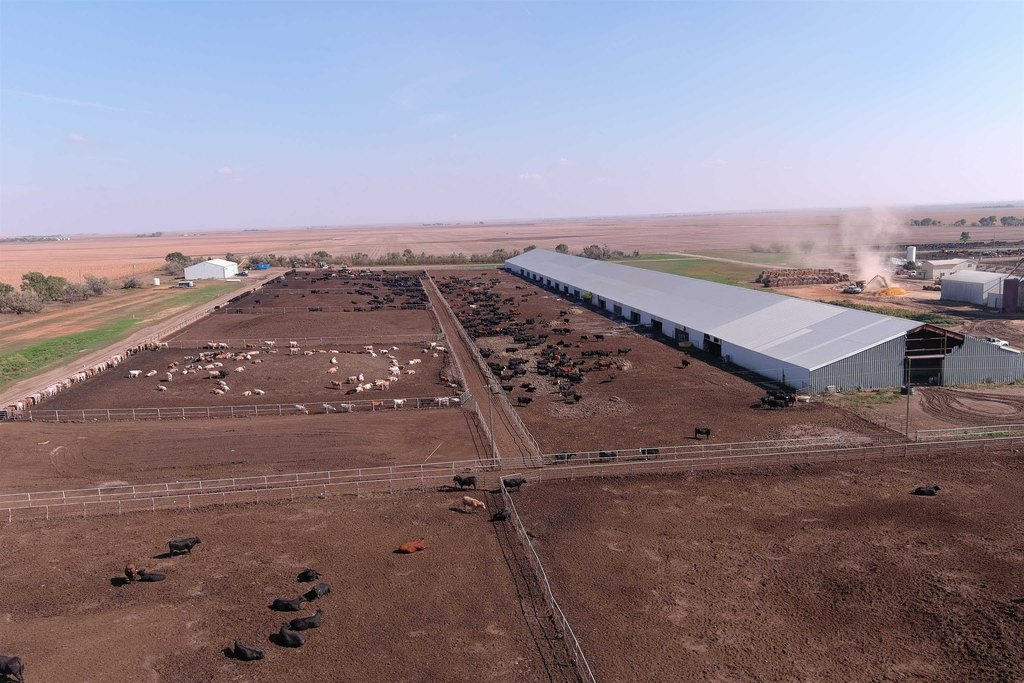 Onida, South Dakota, 57564, United States, ,Residential,Forsale,2011094