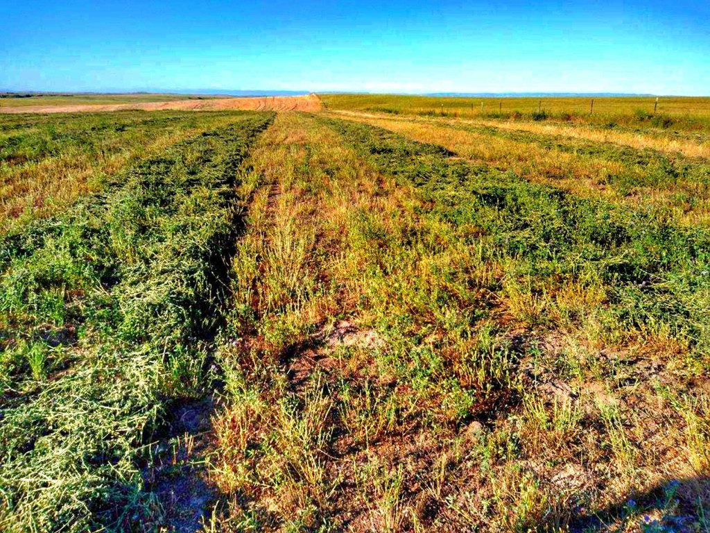 Garryowen, Montana, 59034, United States, 3 Bedrooms Bedrooms, ,2 BathroomsBathrooms,Residential,Forsale,1884275