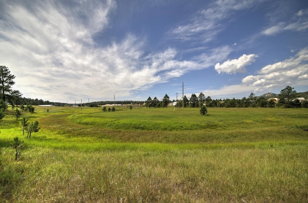 Custer, South Dakota, 57730, United States, ,Land,Forsale,1959663